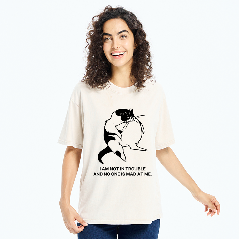 Tokyo-Tiger Introverted Kitten Japan Washed T-Shirt