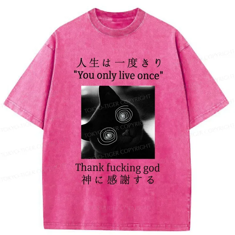 Tokyo-Tiger Dizzy Cat Japan Washed T-Shirt Sale