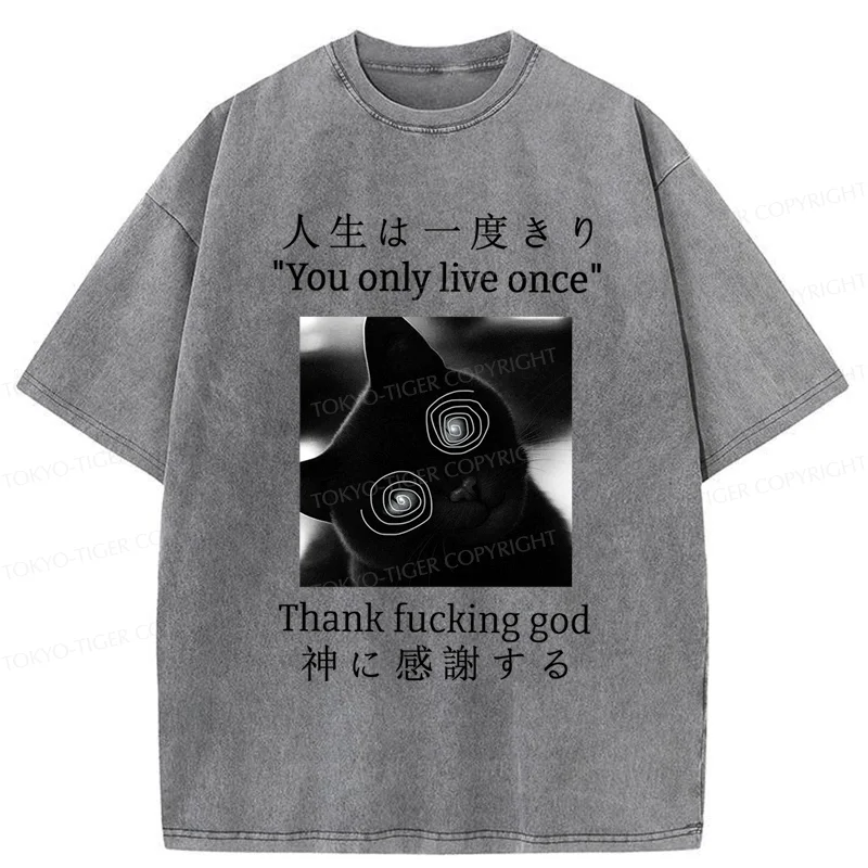 Tokyo-Tiger Dizzy Cat Japan Washed T-Shirt