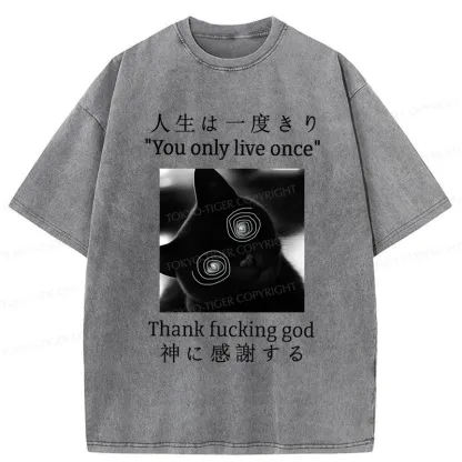 Tokyo-Tiger Dizzy Cat Japan Washed T-Shirt