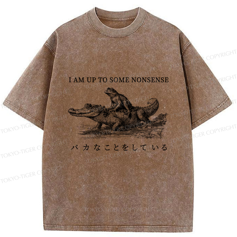 Tokyo-Tiger I Am Up To Some Nonsense Frog Vintage Washed T-Shirt