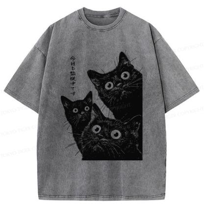 Tokyo-Tiger Three Cats Are Watching You Today Washed T-Shirt