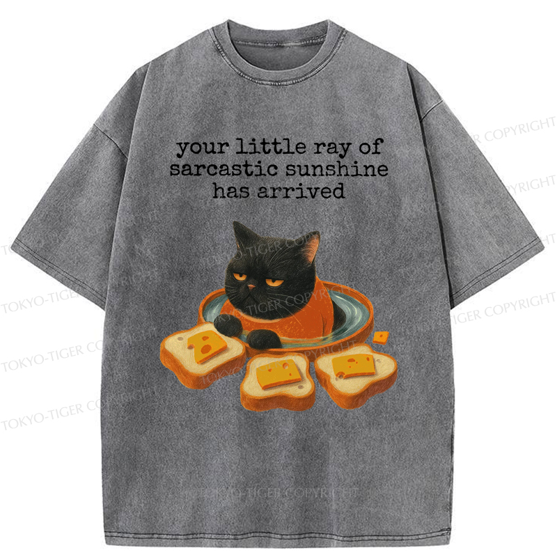 Tokyo-Tiger Funny Cat：Your little Ray Of Sarcastic Sunshine Has Arrived Washed T-Shirt