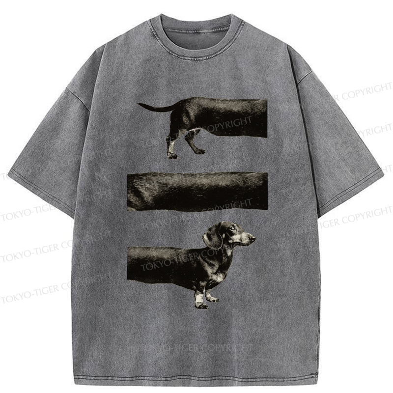 Tokyo-Tiger A Dog With No End In Sight Washed T-Shirt
