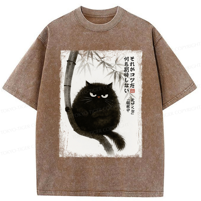 Tokyo-Tiger Funny Silent Observer: The Cat's Gaze Washed T-Shirt