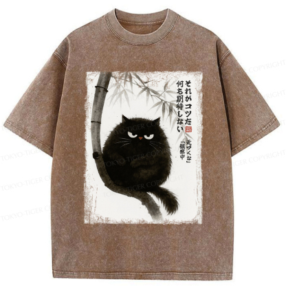 Tokyo-Tiger Funny Silent Observer: The Cat's Gaze Washed T-Shirt