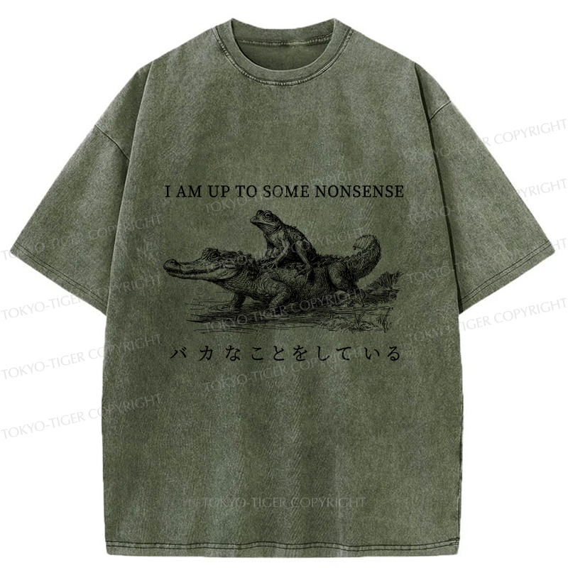Tokyo-Tiger I Am Up To Some Nonsense Frog Vintage Washed T-Shirt