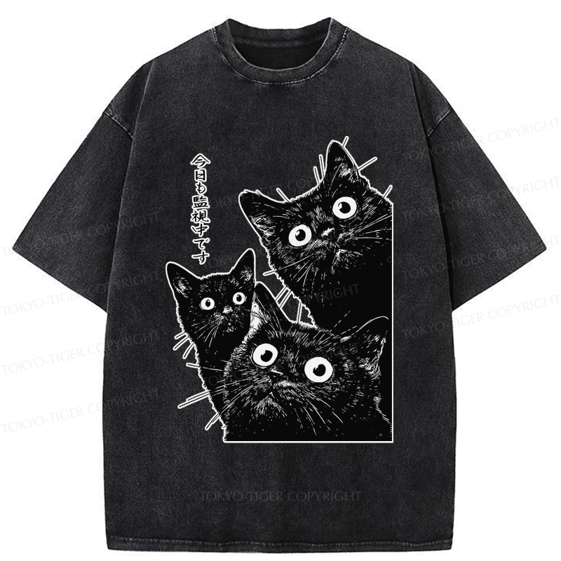 Tokyo-Tiger Three Cats Are Watching You Today Washed T-Shirt