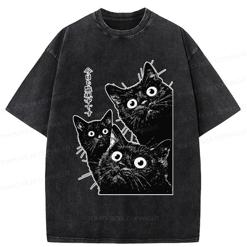 Tokyo-Tiger Three Cats Are Watching You Today Washed T-Shirt
