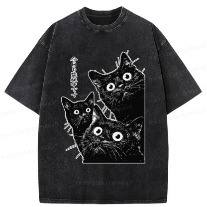 Tokyo-Tiger Three Cats Are Watching You Today Washed T-Shirt