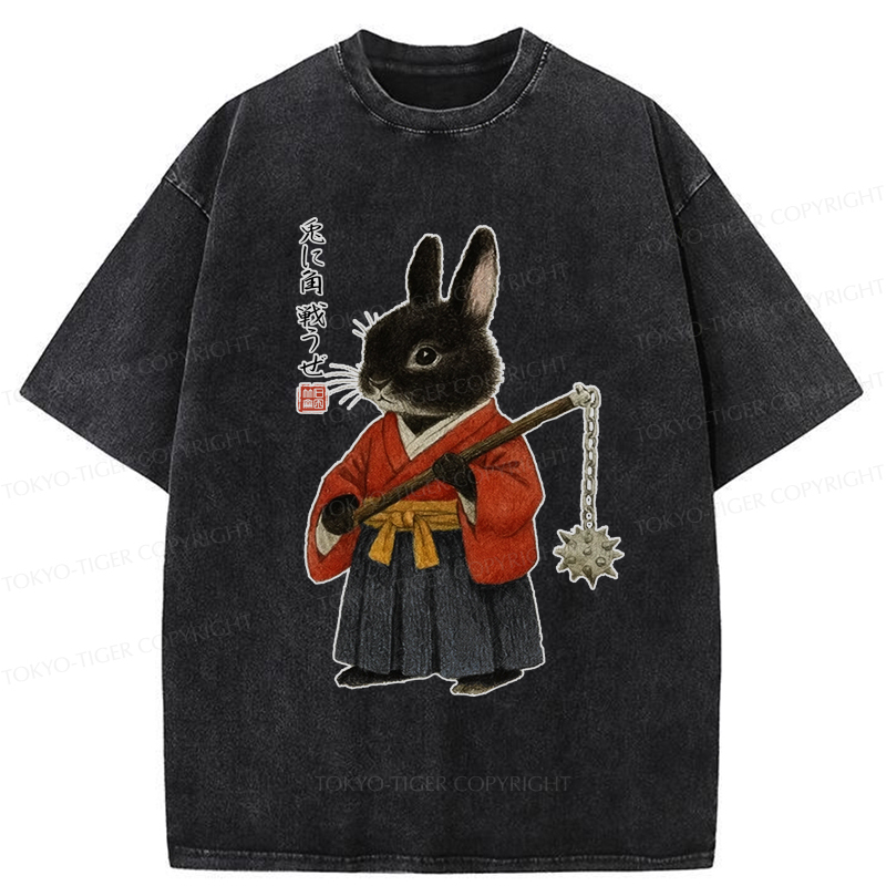 Tokyo-Tiger Japanese Rabbit：Let's Fight Washed T-Shirt