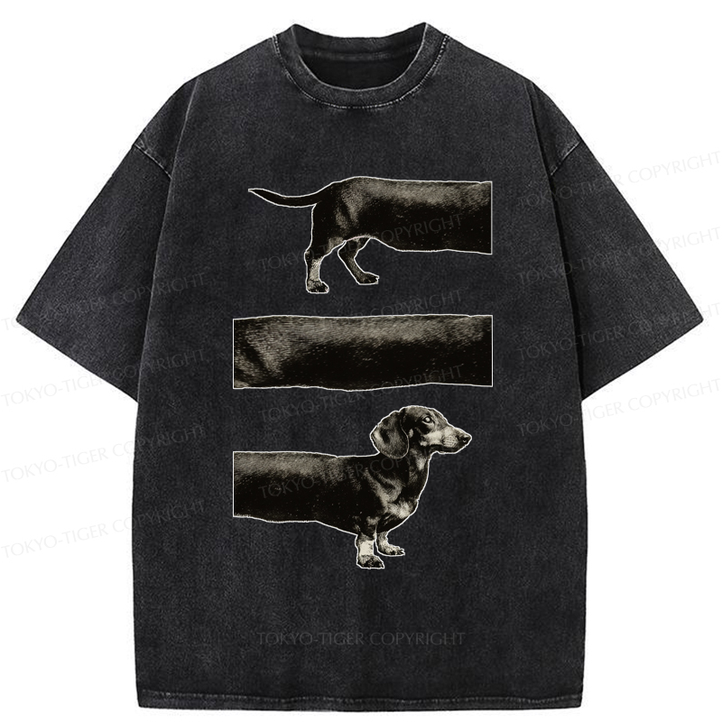Tokyo-Tiger A Dog With No End In Sight Washed T-Shirt