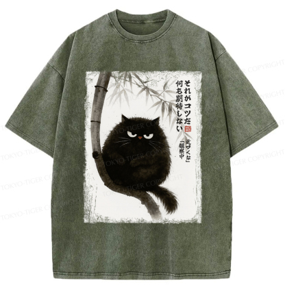 Tokyo-Tiger Funny Silent Observer: The Cat's Gaze Washed T-Shirt