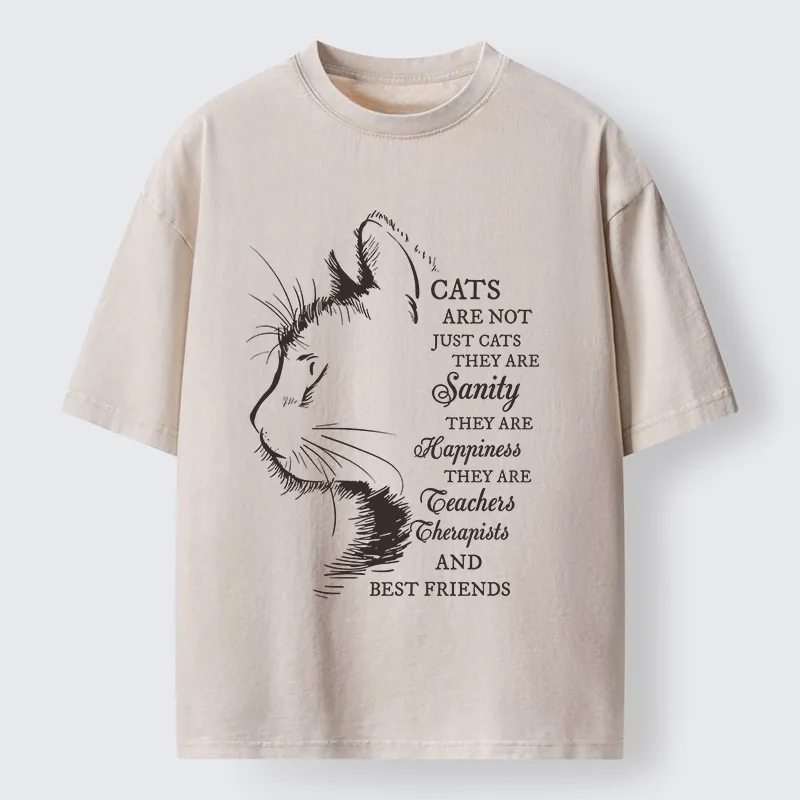 Tokyo-Tiger Cat Best Friend Washed T-Shirt