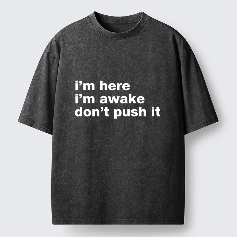 Tokyo-Tiger Awake But Not Ready Vibe Washed T-Shirt Sale