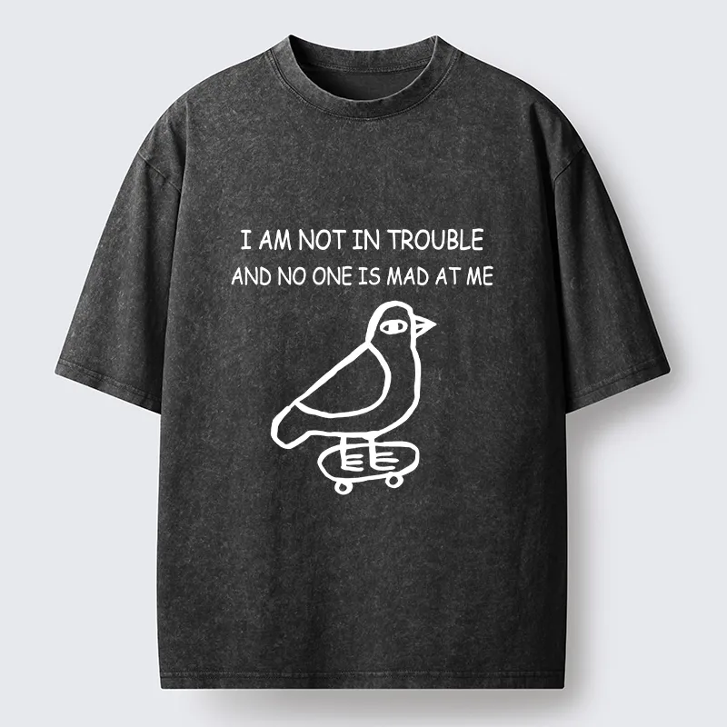Tokyo-Tiger Bird Pretends It Did Nothing Wrong Washed T-Shirt