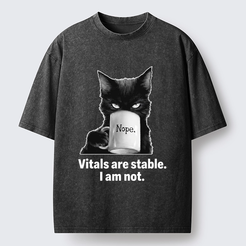 Tokyo-Tiger Grumpy Black Cat Coffee Meme Washed T-Shirt