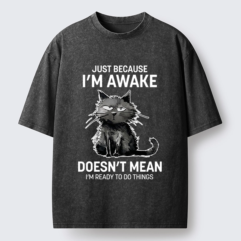 Tokyo-Tiger Grumpy Cat Not Ready To Do Things Washed T-Shirt