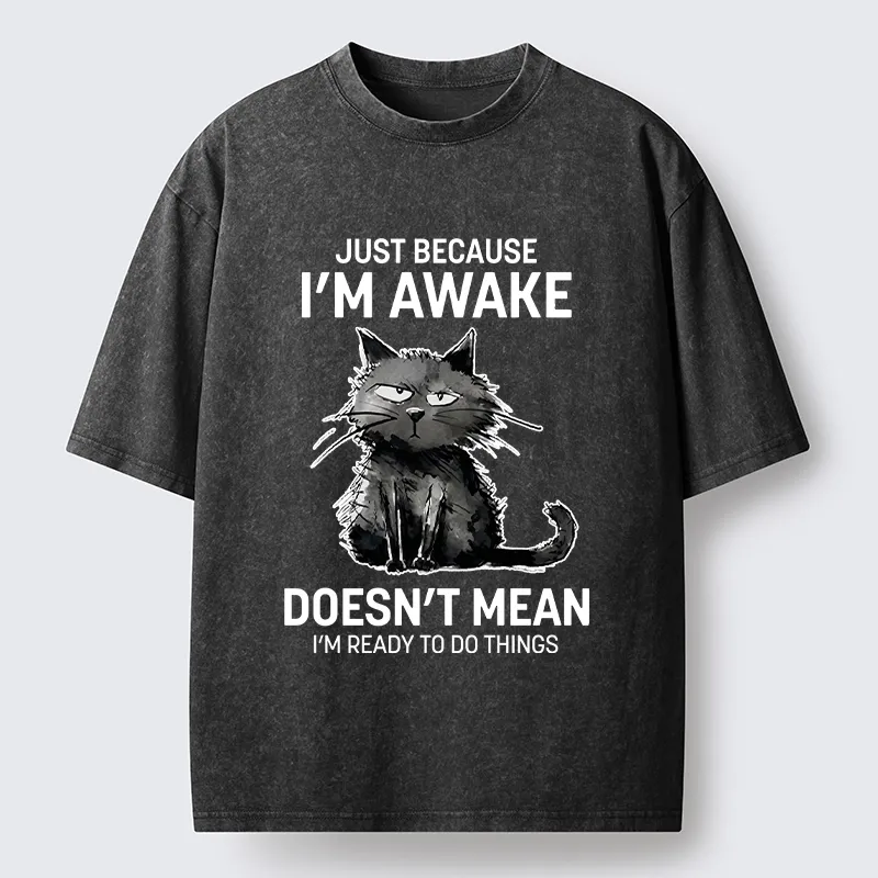 Tokyo-Tiger Grumpy Cat Not Ready To Do Things Washed T-Shirt