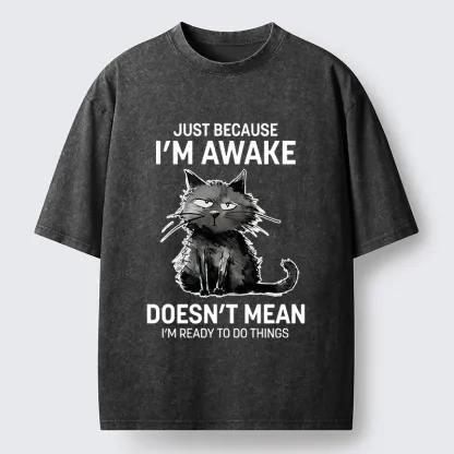 Tokyo-Tiger Grumpy Cat Not Ready To Do Things Washed T-Shirt