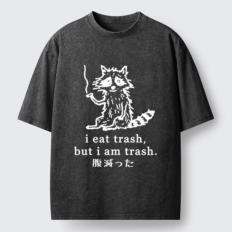 Tokyo-Tiger Raccoon’s Trashy Lifestyle Washed T-Shirt
