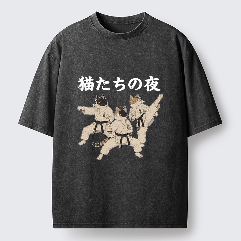 Tokyo-Tiger Funny Karate Cats Black Belt Meme Washed T-Shirt