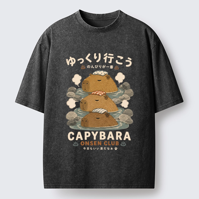 Tokyo-Tiger Hot Spring Life Slow Vibes Only Washed T-Shirt