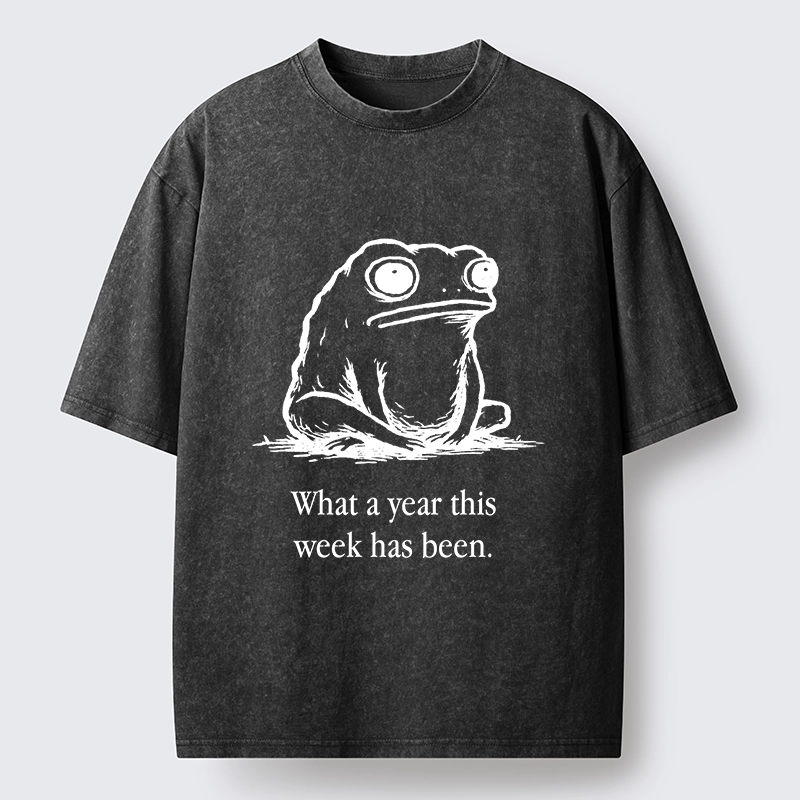 Tokyo-Tiger This Week Feels Like A Whole Year Washed T-Shirt