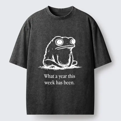 Tokyo-Tiger This Week Feels Like A Whole Year Washed T-Shirt