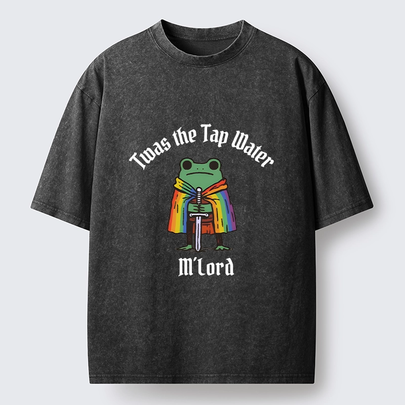 Tokyo-Tiger Funny Rainbow Cloak Frog With Sharp Sword Washed T-Shirt