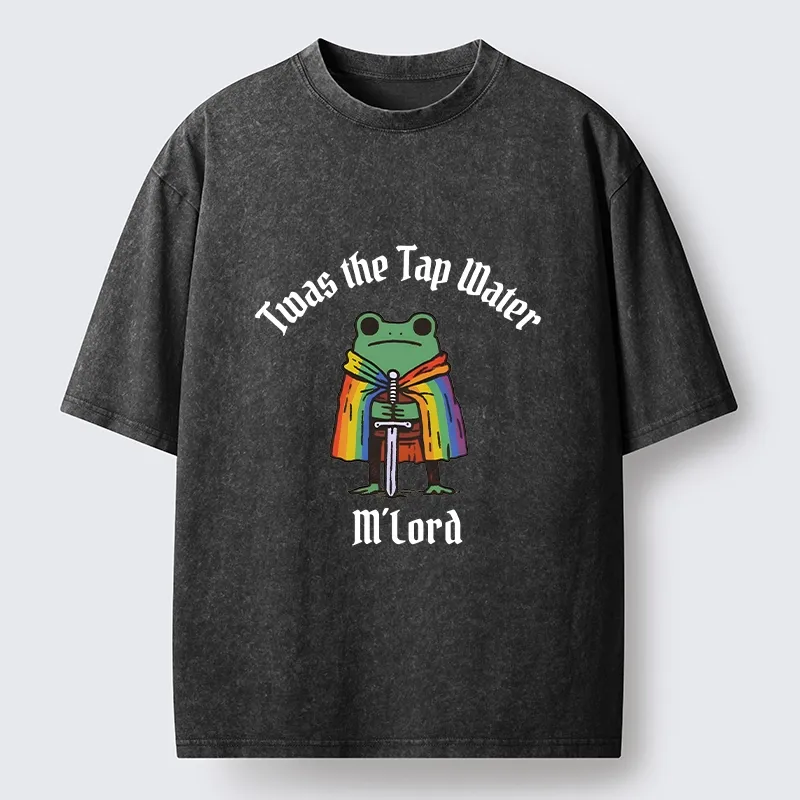 Tokyo-Tiger Funny Rainbow Cloak Frog With Sharp Sword Washed T-Shirt