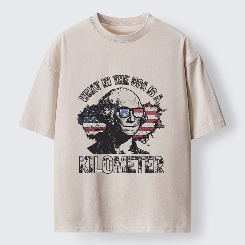 Tokyo-Tiger Patriotic Flag Lens Washington Humor Design Washed T-Shirt