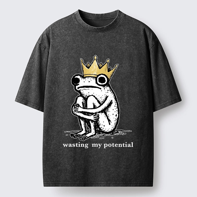 Tokyo-Tiger Crown Frog Wasted Potential Meme Washed T-Shirt