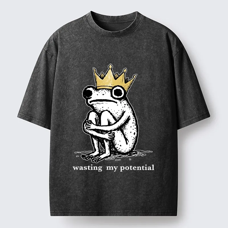 Tokyo-Tiger Crown Frog Wasted Potential Meme Washed T-Shirt