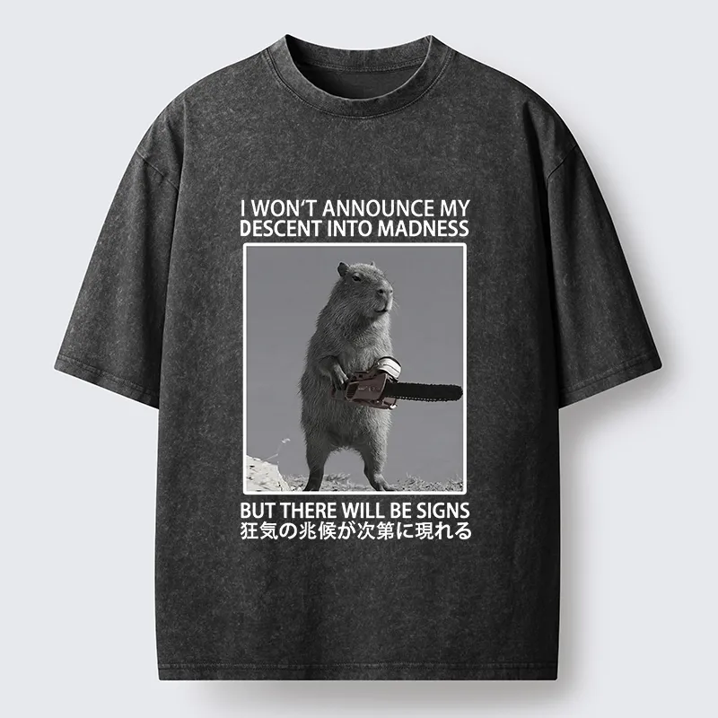 Tokyo-Tiger Funny Meme Chainsaw Capybara Madness Washed T-Shirt