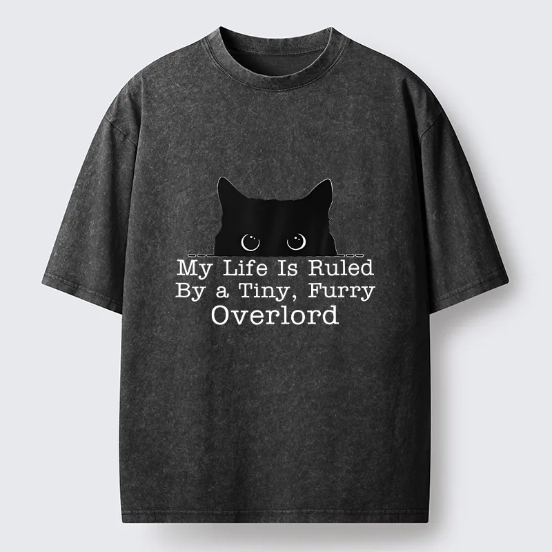 Tokyo-Tiger Cat Rules Human Life Simple Graphic Washed T-Shirt