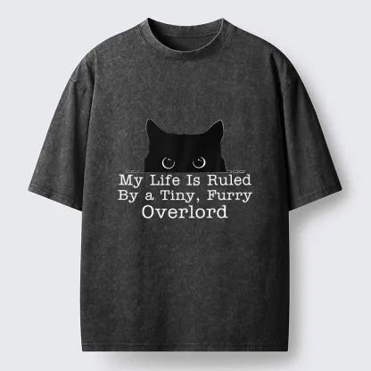 Tokyo-Tiger Cat Rules Human Life Simple Graphic Washed T-Shirt