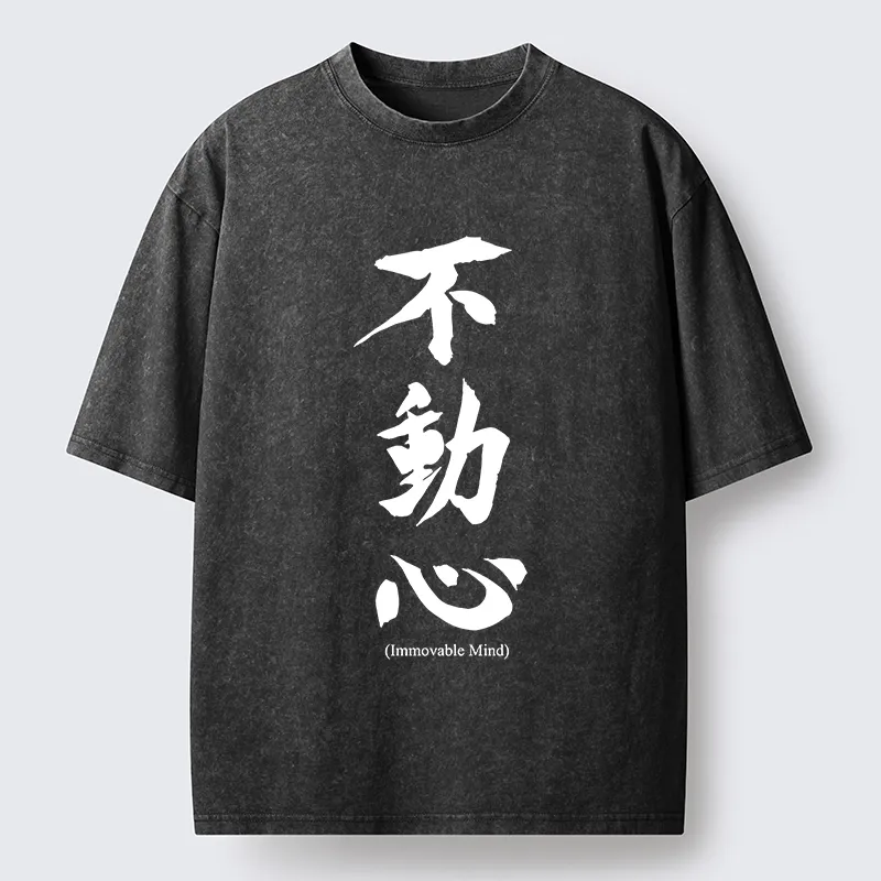Tokyo-Tiger Fudoshin Art Of Calm Mind Washed T-Shirt