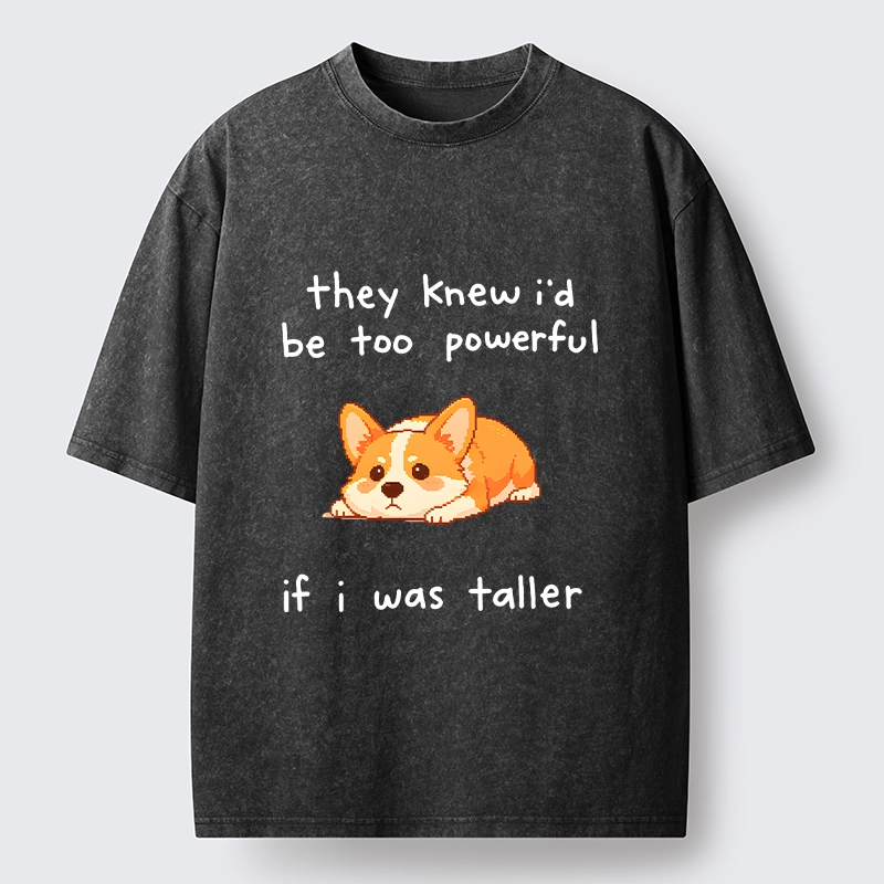 Tokyo-Tiger Funny Short Dog Joke Washed T-Shirt