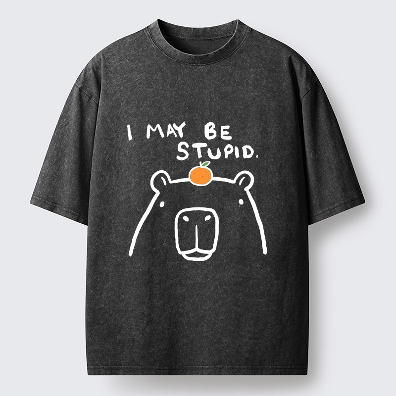 Tokyo‑Tiger Funny Capybara Orange Washed T‑Shirt