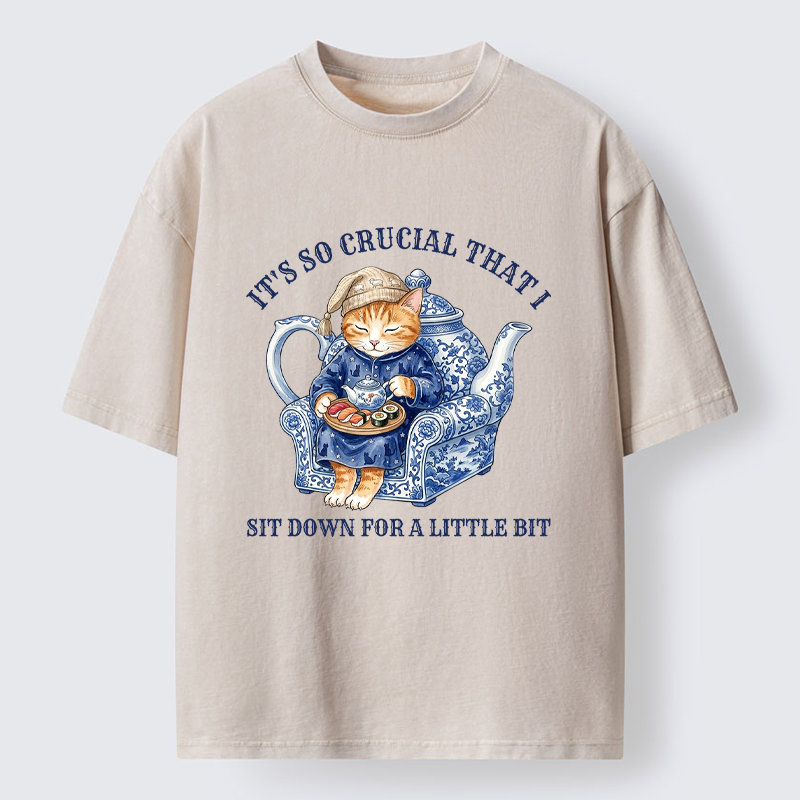 Tokyo-Tiger Teapot Nap Cat Washed T-Shirt