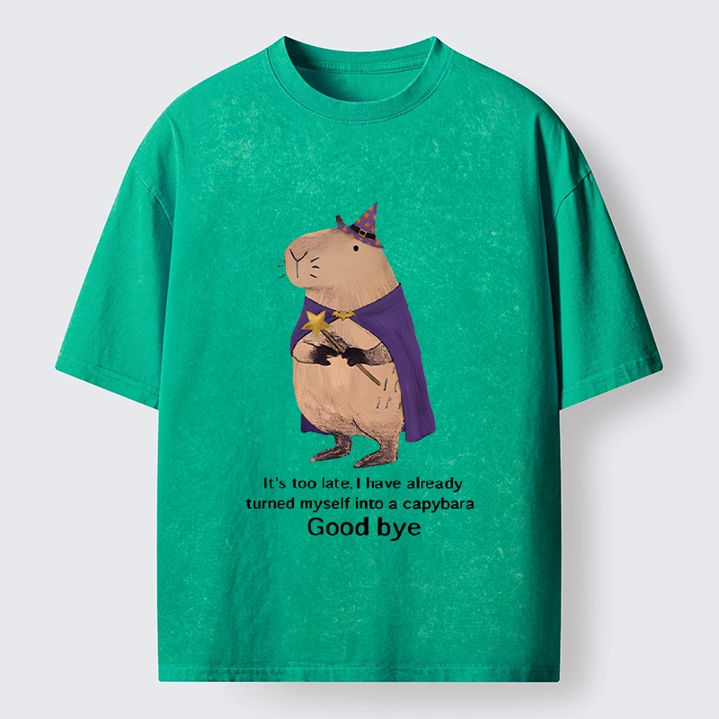 Tokyo‑Tiger Funny Wizard Capybara Washed T‑Shirt