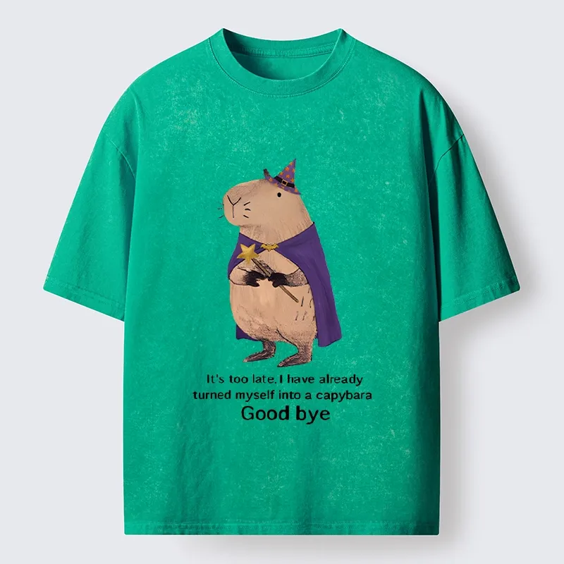 Tokyo‑Tiger Funny Wizard Capybara Washed T‑Shirt