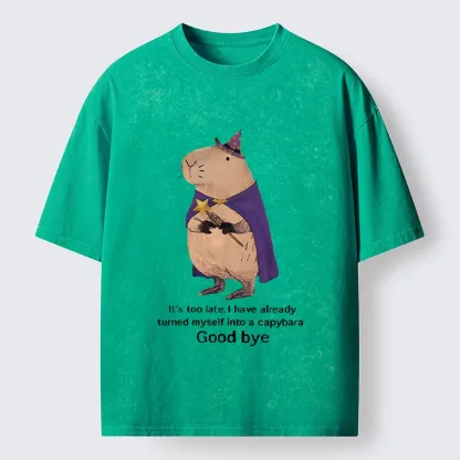 Tokyo‑Tiger Funny Wizard Capybara Washed T‑Shirt