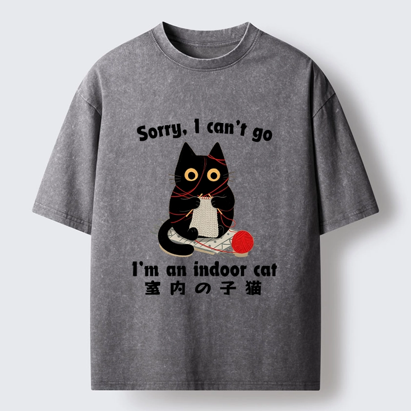 Tokyo‑Tiger Indoor Cat Meme Washed T‑Shirt