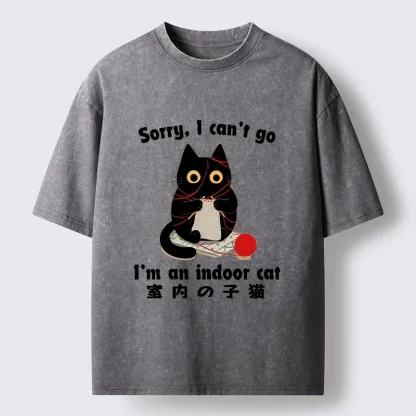 Tokyo‑Tiger Indoor Cat Meme Washed T‑Shirt