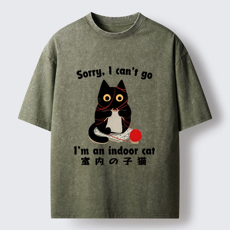 Tokyo‑Tiger Indoor Cat Meme Washed T‑Shirt
