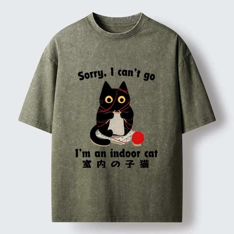 Tokyo‑Tiger Indoor Cat Meme Washed T‑Shirt