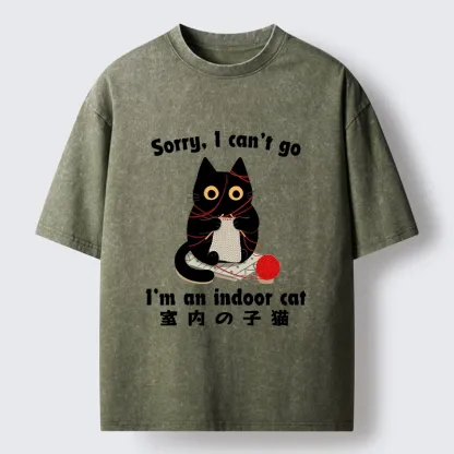 Tokyo‑Tiger Indoor Cat Meme Washed T‑Shirt
