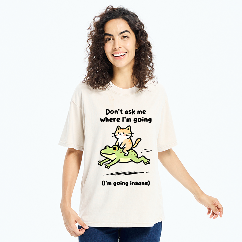 Tokyo‑Tiger Cat Riding Frog Meme Washed T-Shirt